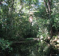 Misty Mountains Wilderness Walking Tracks - Schoolies Week Accommodation