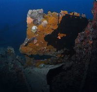 Lady Bowen Dive Site - Schoolies Week Accommodation