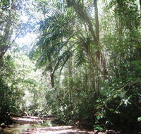 Mount Lewis National Park - Schoolies Week Accommodation