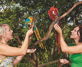 Birdworld Kuranda - Schoolies Week Accommodation 1