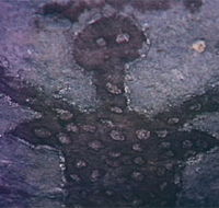 Quinkan Reserves Ancient Rock Art - Schoolies Week Accommodation