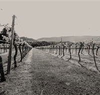 Halls Gap Estate - Schoolies Week Accommodation