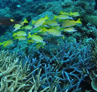 Castle Rock Dive Site - Schoolies Week Accommodation