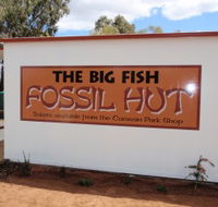 Big Fish Fossil Hut at Peak Hill - Schoolies Week Accommodation