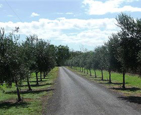 Seplin Estate Wines - Schoolies Week Accommodation 3