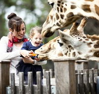 Taronga Western Plains Zoo Dubbo - Schoolies Week Accommodation