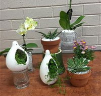 Cobram Florist - Schoolies Week Accommodation