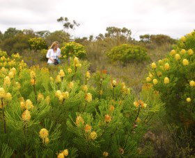Fitzgerald Biosphere - Schoolies Week Accommodation 1