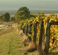 Captains Creek Organic Wines - Schoolies Week Accommodation