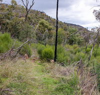 Lynchs loop trail - Schoolies Week Accommodation