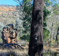 Eualdrie walking track - Schoolies Week Accommodation
