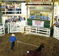 Gracemere Exhibition Complex - Schoolies Week Accommodation