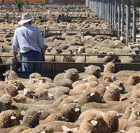 Livestock Marketing Centre - Schoolies Week Accommodation