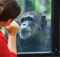 The Rockhampton Zoo - Schoolies Week Accommodation