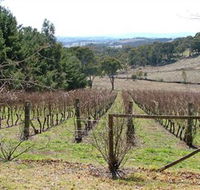Habitat Vineyard - Schoolies Week Accommodation