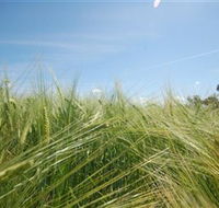 150 Degrees East Meridian - Schoolies Week Accommodation