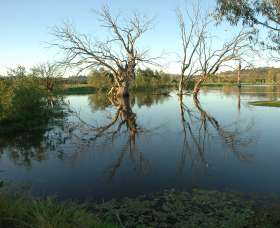 Wonga Wetlands - Schoolies Week Accommodation 4