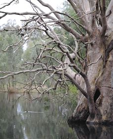 Wonga Wetlands - Schoolies Week Accommodation 3