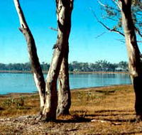 Lake Broadwater Conservation Park - Schoolies Week Accommodation