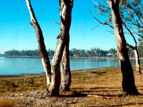 Lake Broadwater Conservation Park - Schoolies Week Accommodation 0