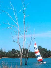 Lake Broadwater Conservation Park - Schoolies Week Accommodation 2