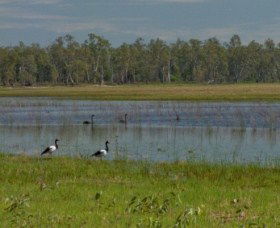 Lake Broadwater Conservation Park - Schoolies Week Accommodation 1