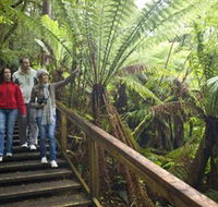 Otway Fly Treetop Adventures - Schoolies Week Accommodation