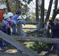 Harlow Park Horse Riding - Schoolies Week Accommodation