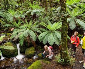  Schoolies Week Accommodation
