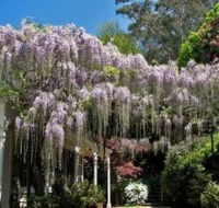 Nooroo Gardens - Schoolies Week Accommodation