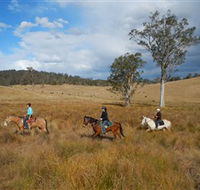 Chapman Valley Horse Riding - Schoolies Week Accommodation