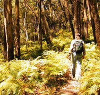 Federal Pass - Schoolies Week Accommodation