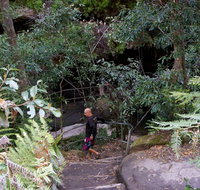 Leura Cascades Fern Bower - Schoolies Week Accommodation