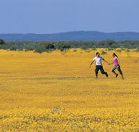 Wildflowers of the Mid West - Schoolies Week Accommodation