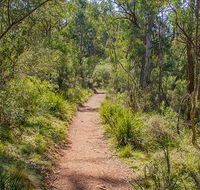 Mares Forest Creek walking track - Schoolies Week Accommodation