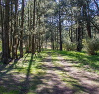 Wombeyan Waterfall walking track - Schoolies Week Accommodation