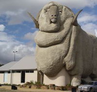 Big Merino - Schoolies Week Accommodation