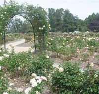 Victoria Park Rose Garden - Schoolies Week Accommodation