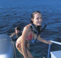 Seal Cove - Schoolies Week Accommodation