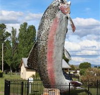 Big Trout - Schoolies Week Accommodation