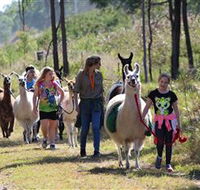 Ottaba Llamas - Schoolies Week Accommodation