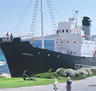 Discovery Bay Tourism Experience - Schoolies Week Accommodation