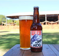 Feral Brewing Company - Schoolies Week Accommodation