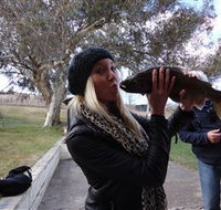 Eucumbene Trout Farm - Schoolies Week Accommodation