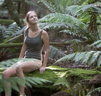 Barrington Tops National Park - Honeysuckle Forest Track - Schoolies Week Accommodation