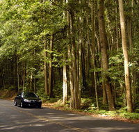 Greater Blue Mountains drive - Schoolies Week Accommodation