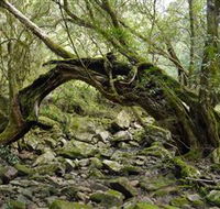 Mitchell River National Park - Schoolies Week Accommodation