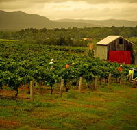 Around Hermitage Wine and Food Trail Hunter Valley - Schoolies Week Accommodation