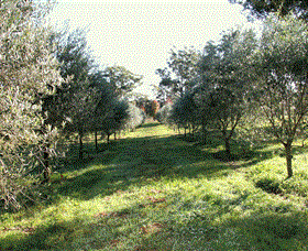 Langdale Farm - Schoolies Week Accommodation