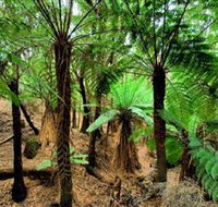 Pegarah Private Nature Reserve  Parenna Place - Schoolies Week Accommodation